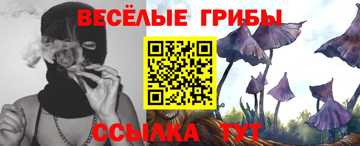 Галлюциногенные грибы GOLDEN TEACHER  Псилоцибиновые грибы Magic Shrooms  Вход с VPN  Белово 